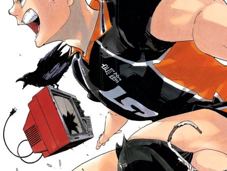 Haikyu!! Volume 30 Online