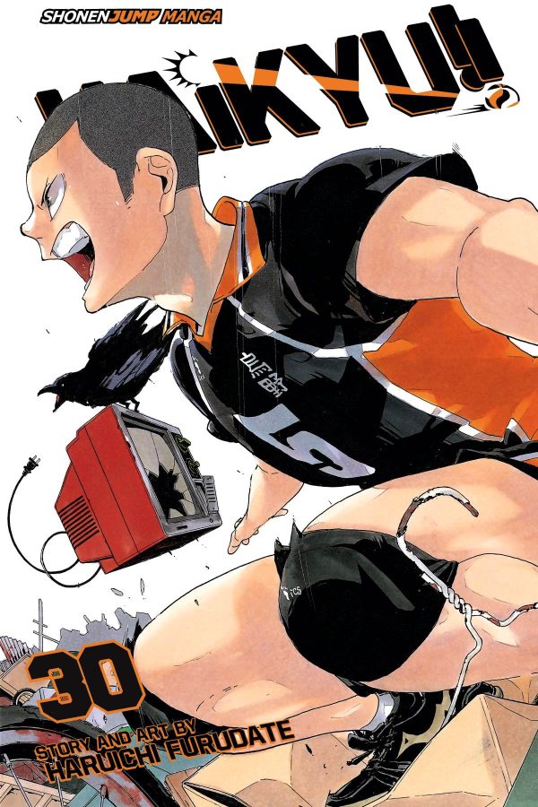 Haikyu!! Volume 30 Online