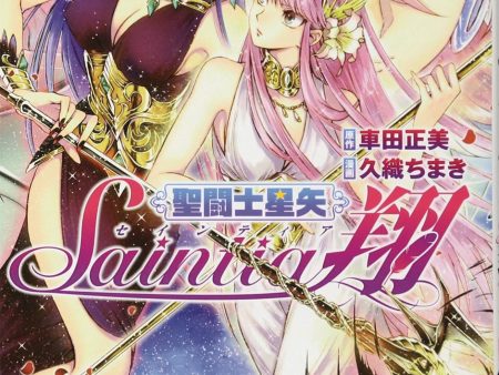 Saint Seiya Saintia Sho Volume 10 Hot on Sale