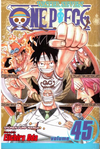 One Piece Volume 45 Online now