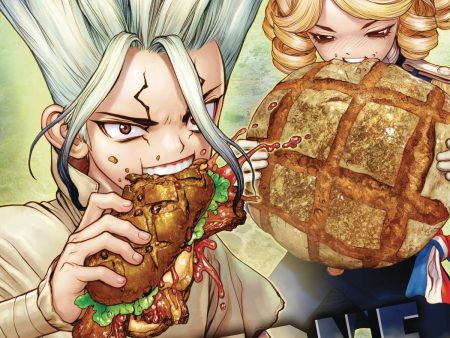 Dr. Stone Volume 11 Cheap