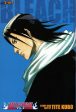 Bleach 3-in-1 Edition Volume 03 Online Hot Sale