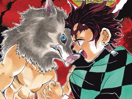 Demon Slayer: Kimetsu No Yaiba Volume 04 For Cheap