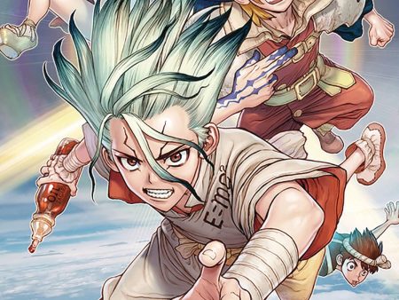 Dr. Stone Volume 10 For Sale